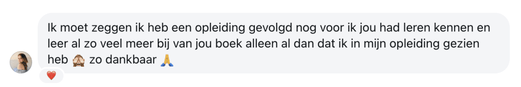 Boek Start als Virtual Assistant review geweldig boek